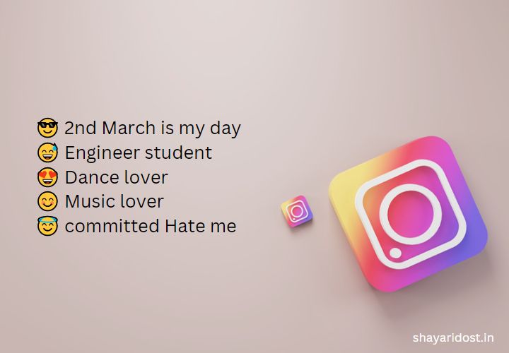 Instagram Cute Bio For Boys 